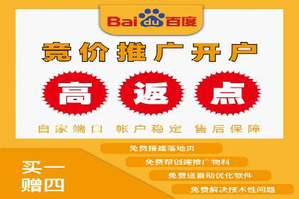 百度广告竞价与SEO结合的案例：某企业双管齐下的营销策略